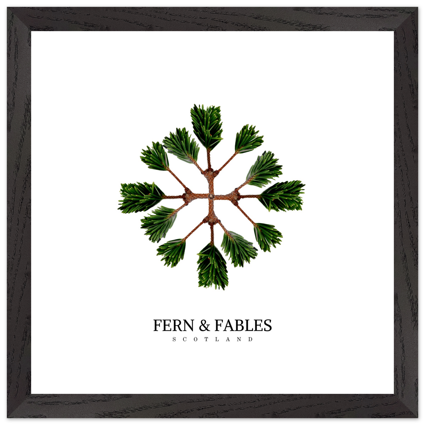 1622979d-d18f-452f-a004-9fe8781dce9c