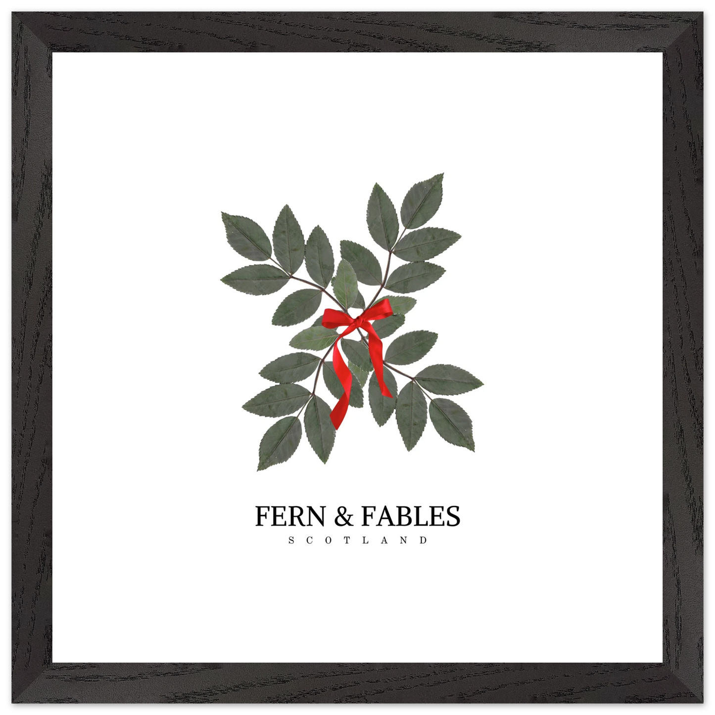 1512d7c4-8872-4ff6-a906-24b94c0c80b7