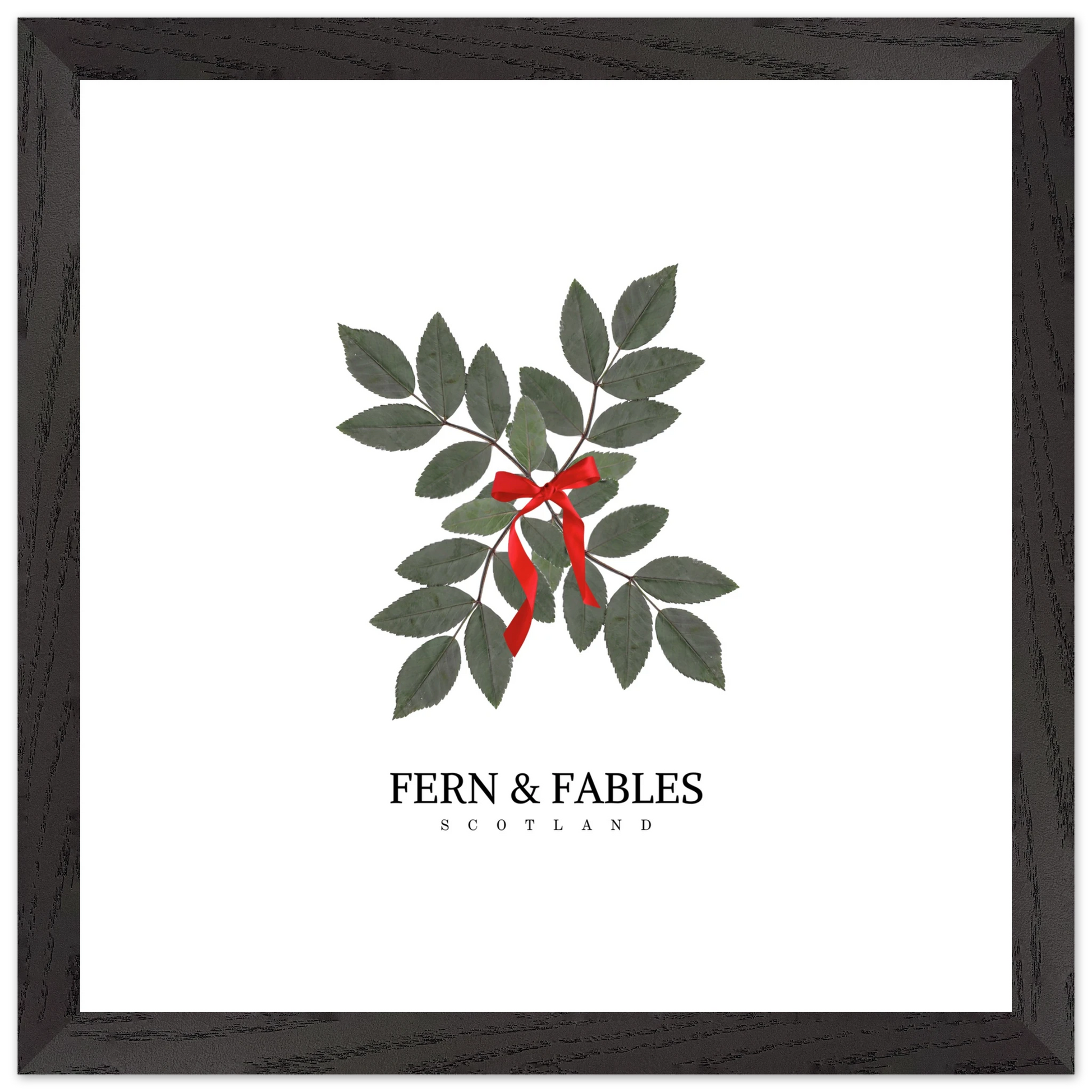 1512d7c4-8872-4ff6-a906-24b94c0c80b7